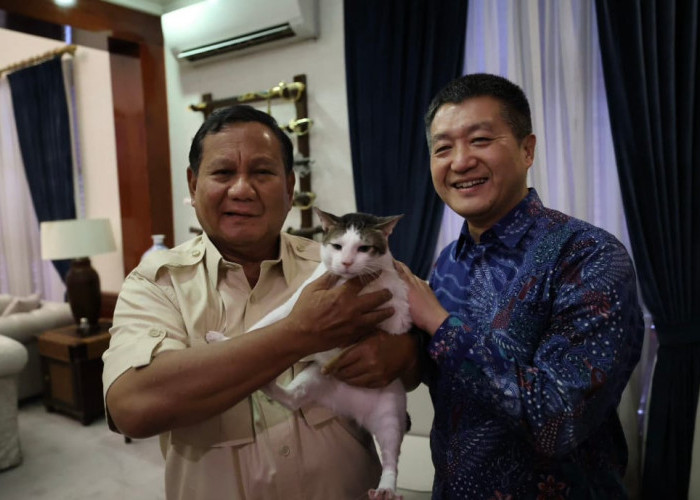 Mengenal Bobby Kertanegara, Kucing Kampung yang Naik Kasta Jadi Kucing Istana