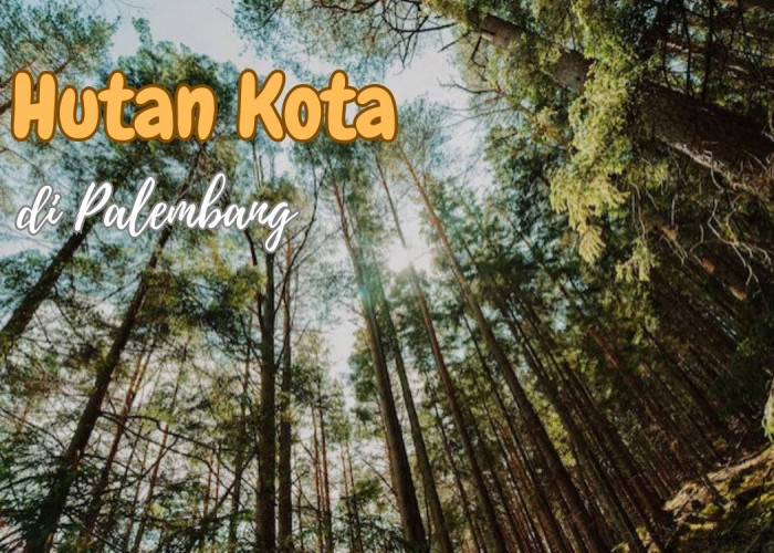 Hanya 5 Menit dari Pusat Palembang, Ternyata Ada Hutan Kota dengan 71 Jenis Pohon