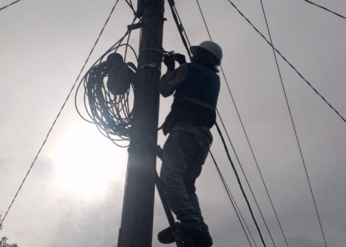 Lakukan Langkah Preventif, PLN Icon Plus Sumbagsel Jaga Keandalan Jaringan Fiber Optik