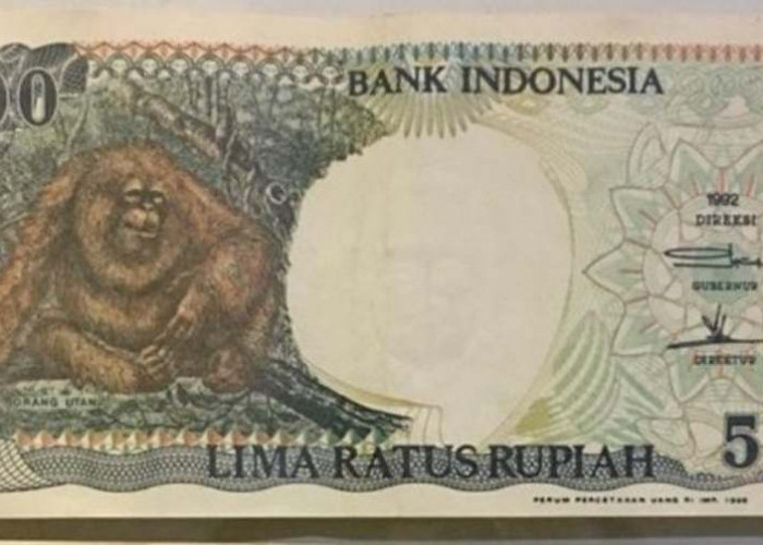 Viral! Uang Kertas Rp 500 Tahun 1992 Gambar Orang Utan Ini Dihargai Rp99.750.000