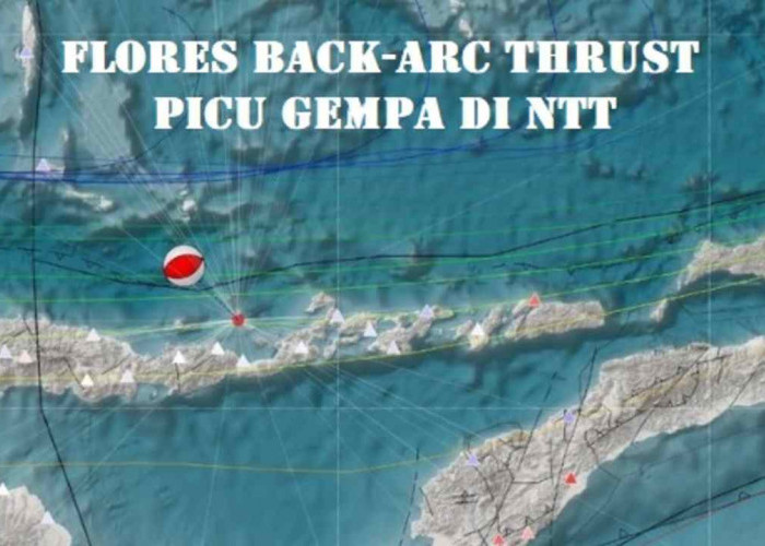 Aktivitas Sesar Naik Busur Belakang Flores Picu Gempa Laut di Maumere NTT, Cek Kekuatan dan Episentrumnya