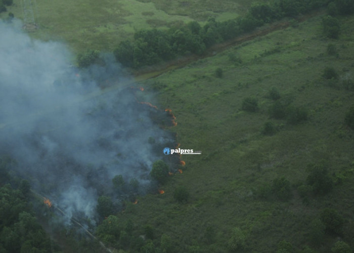 BPBD Muba Ungkap Hanya 851,57 Hektare Terbakar di Muba 