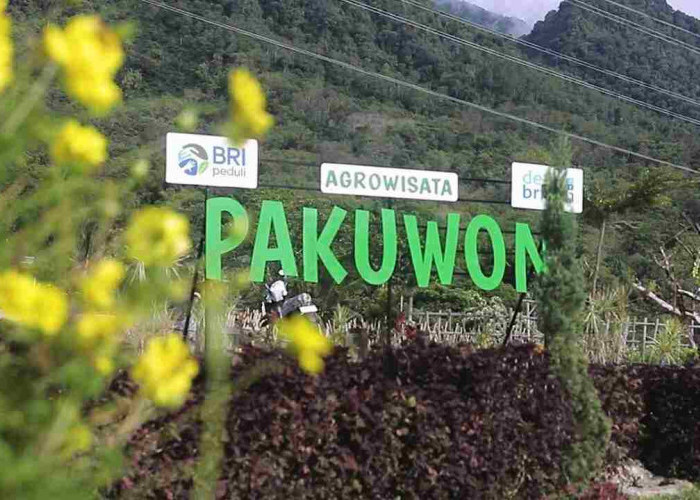 Lewat Desa BRILiaN, Desa Pajambon Kuningan Sukses Kembangkan Ekonomi Berbasis Potensi Lokal