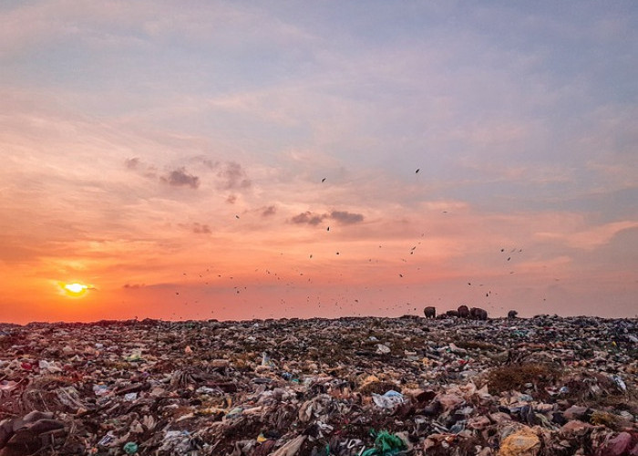 IKN Tampung 80 Ton Sampah Setiap Harinya? Begini Kondisi Lingkungan Sekitar Ibu Kota Negara