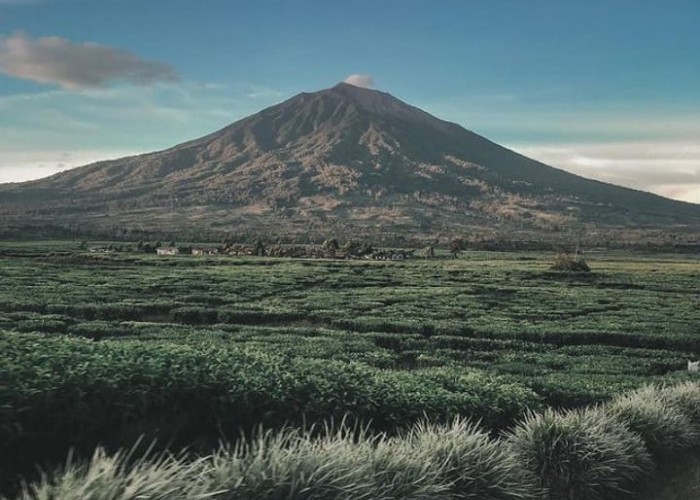 WOW! Ini Rekomendasi 6 Gunung Paling Sulit Didaki di Indonesia Khusus untuk Pendaki Profesional, Berani Coba?