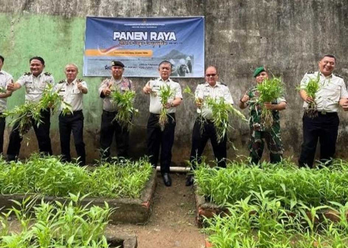 Program Pembinaan Inovatif: Warga Binaan Lapas Lahat Berhasil Kelola Pertanian Berkelanjutan