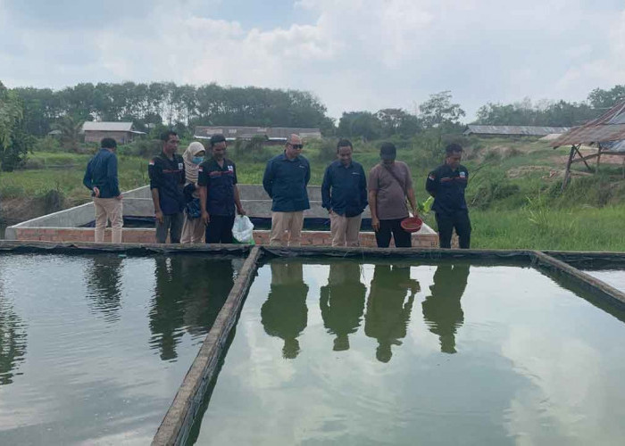 Berdayakan Masyarakat, PT Bukit Asam Sulap Lahan Tidak Produktif di Sukamoro