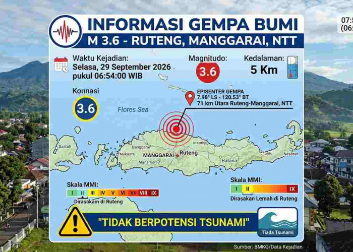 Gempa M3,6 Guncang Ruteng NTT Pagi Ini, BMKG Ungkap Lokasi dan Kedalamannya