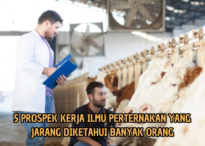 5 Prospek Kerja Jurusan Ilmu Peternakan yang Jarang Diketahui Banyak Orang, Penasaran?