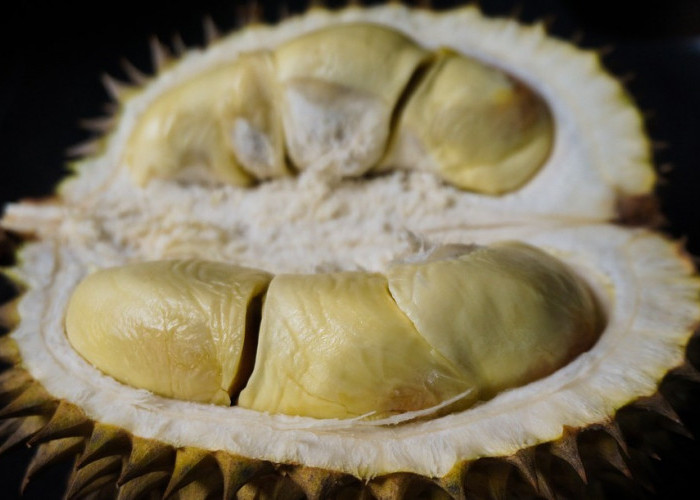 3 Tempat Makan Durian Paling Enak di Palembang, Harganya Bikin Kalap