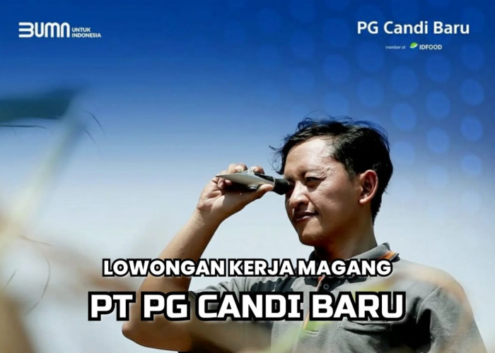 Lowongan Kerja Magang BUMN PT PG Candi Baru Ini Tanpa Batasan Umur, Berminat? Ini Persyaratannya!