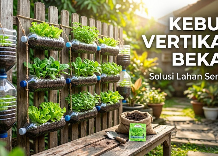 Solusi Cerdas Lahan Sempit: 5 Langkah Mudah Bikin Kebun Vertikal Estetik dari Botol dan Galon Bekas