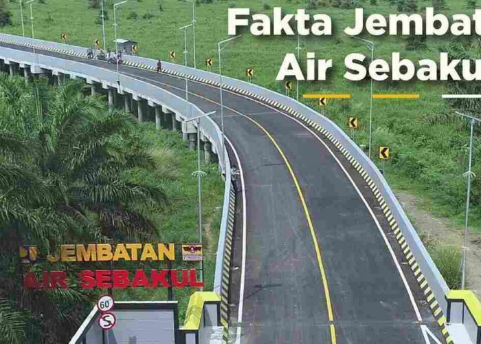 Habiskan Dana Rp60 Miliar, Inilah Jembatan Elevated Pertama di Bengkulu, Panjangnya 570 Meter