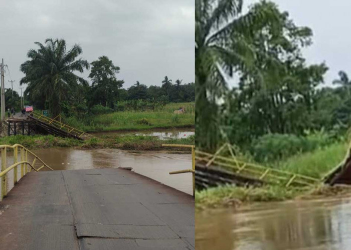 Akses Putus Total! Jembatan di Ogan Ilir Ambruk Dihantam 'Lautan' Eceng Gondok