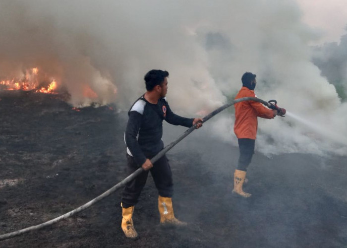 Karhutla Nyaris Merambat ke Gardu PLN, Tiga Hektar Semak Belukar di Muba Hangus Terbakar