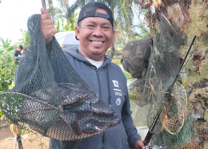 Silahkan Dicoba! 7 Jenis Umpan Mancing Ikan Nilai Paling Ajib