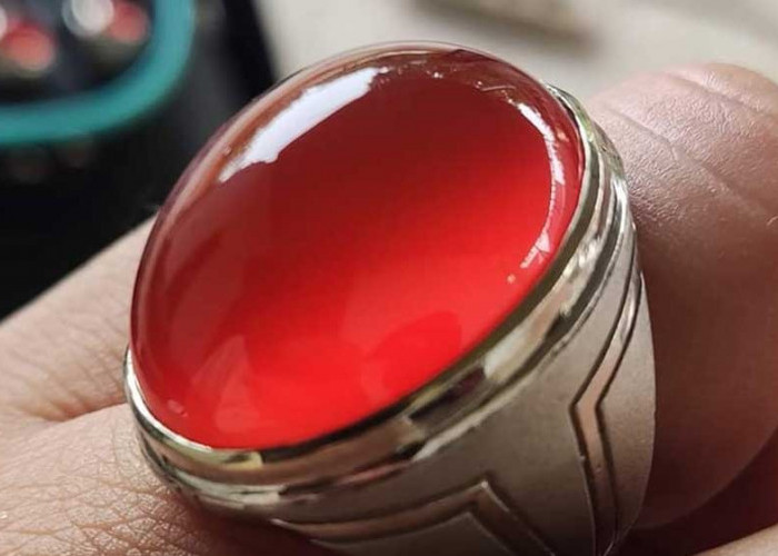 Pesona Batu Akik Red Raflesia Bengkulu, Primadona Merah yang Tak Pernah Pudar