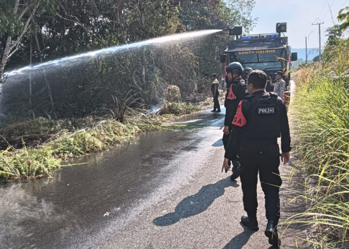 Dua Kecamatan di Lubuklinggau Paling Rawan Karhutla, 19 Hektar Lahan Terbakar