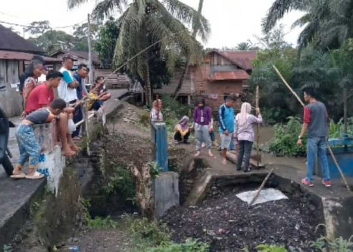 Waspada Bibit Penyakit! Aksi Kompak Warga Sirah Pulau Bersihkan Aliran Irigasi Sawah dari Sampah