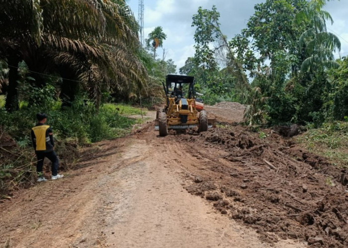 Jawab Keluhan Warga, Bupati Muba Langsung Perbaiki Jalan Strategis di Kecamatan Lawang Wetan