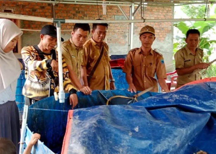  Desa Purwosari Jadi Contoh Ketahanan Pangan di Merapi Barat