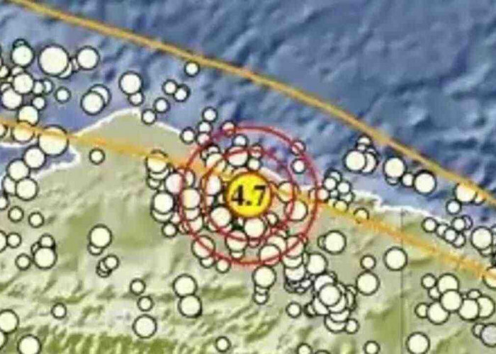 Gempa Magnitudo 4,7 Guncang Sarmi Papua Pagi Ini, Tak Berpotensi Tsunami