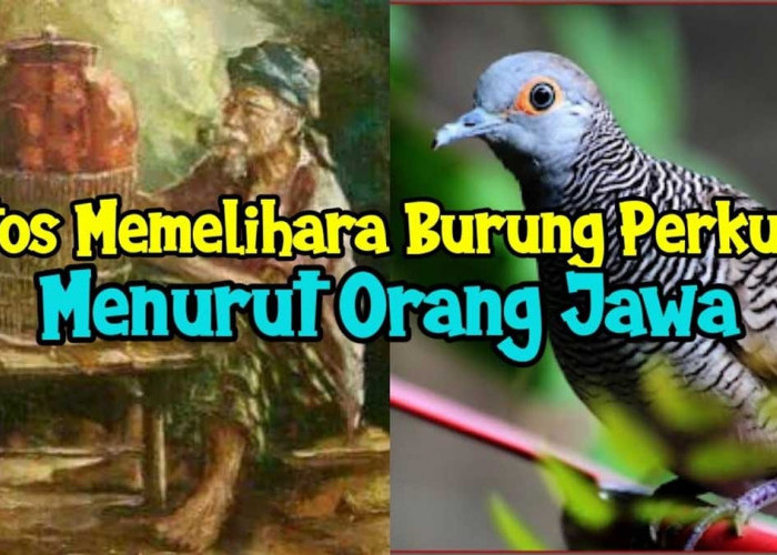 Mengungkap Rahasia Hari Paling Beruntung dan Tidak Saat Membeli Burung Perkutut Menurut Primbon Jawa