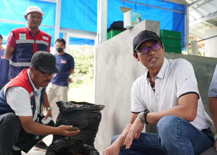 Tol Palembang Lampung Didesain Ramah Lingkungan, Manfaatkan Lalat Sebagai Tentara Hitam