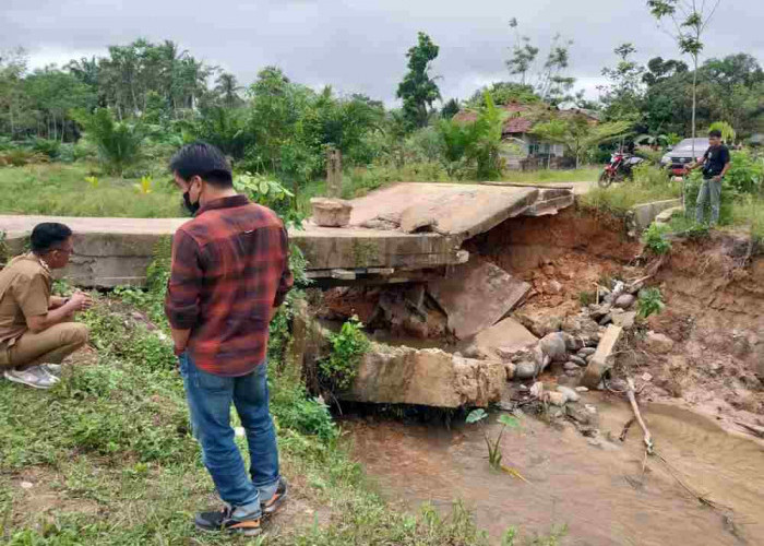 Kondisi Rusak Berat, Jembatan Desa Mulyo Rejo Harus Rehab Total  