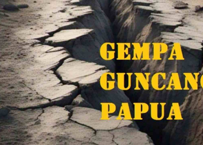 Update BMKG, Pagi Ini Gempa 5.5 Magnitudo Guncang Jayapura Papua, Tak Berpotensi Tsunami