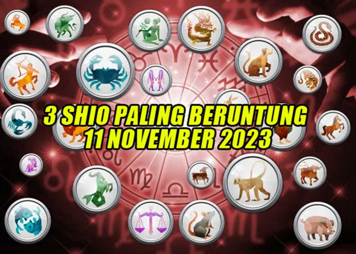 Inilah 3 Shio Paling Beruntung Besok, 11 November 2023, Shio Kuda, Monyet, dan Babi Berbahagialah