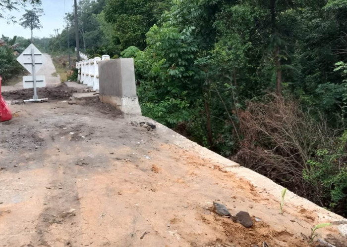 Respon Cepat Dinas PUPR Muba Perbaiki Jembatan Longsor di Desa Sialang Agung