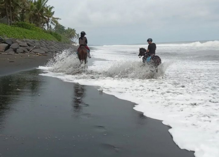 Wajib Ajak Pasangan! Inilah 6 Wisata Pantai Paling Romantis di Cilacap, Bisa Juga Berselancar dan Berkuda