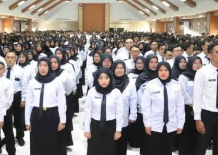 Honorer R4 Bisa Diangkat PPPK Paruh Waktu, Asalkan Punya Persyaratan Ini!