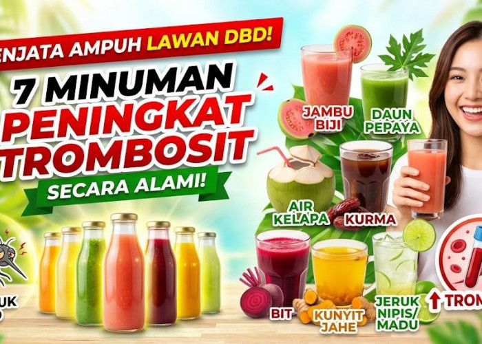Senjata Ampuh Lawan DBD! Ini 7 Minuman yang Bisa Meningkatkan Kadar Trombosit Dalam Darah Secara Alami