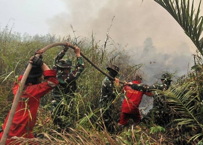 Tidak Hanya Kerahkan Anggota, Dandim 0401 Muba Terjun Langsung Ikut Padamkan Api di Desa Muara Medak