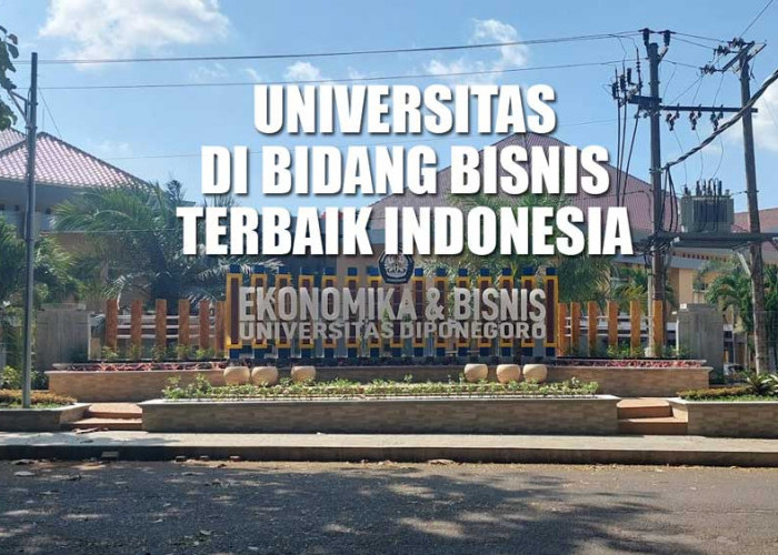 10 Rekomendasi Universitas di Bidang Bisnis Terbaik Indonesia, Ada Undip 'Geser' Peringkat 2 dan 3 Nasional