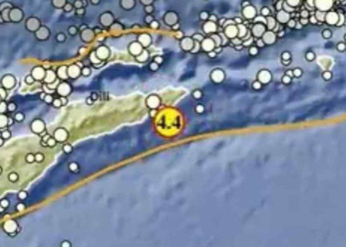 Update BMKG, Gempa 4.4 Magnitudo Pagi Ini Guncang Maluku Barat Daya, Tak Berpotensi Tsunami