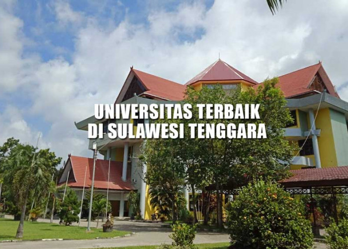 4 Kampus Terbaik Negeri dan Swasta di Kendari versi UniRank 2023, Universitas Halu Oleo Peringkat Berapa?