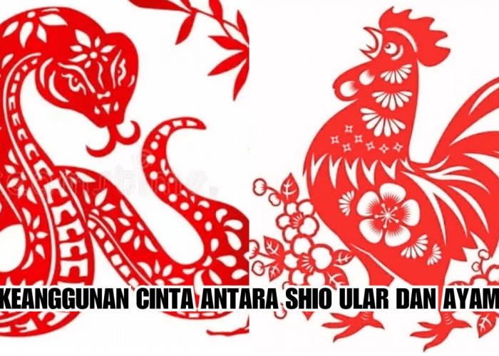 Keanggunan Cinta antara Shio Ular dan Ayam: Disebutkan Paling Cocok Dalam Menjalin Hubungan, Ini Prediksinya