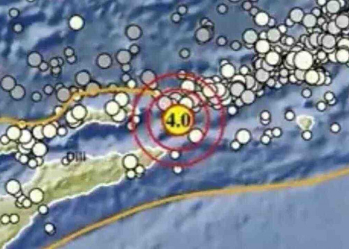 Gempa Magnitudo 4,0 Guncang Maluku Barat Daya pada Kedalaman 166 Km, Tak Berpotensi Tsunami