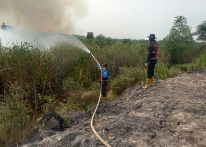 Berjibaku Padamkan Api: Tim Gabungan Sukses Tangani 11 Titik Hotspot di 10 Desa Wilayah Ogan Ilir