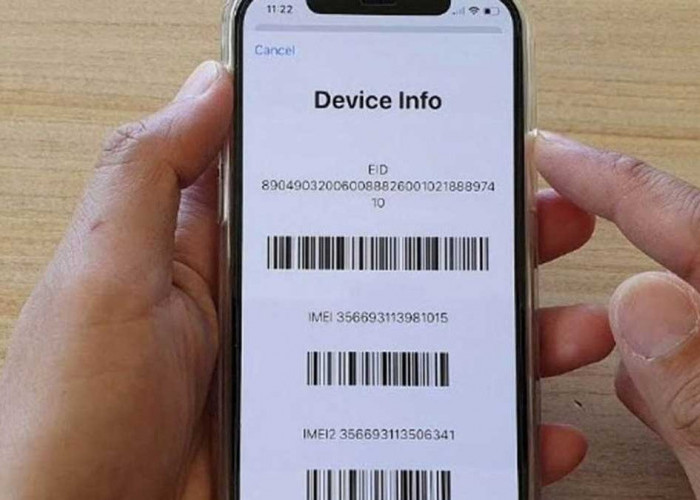 Lewat 4 Jalur, Kemenperin Catat 12 Ribu iPhone 16 Masuk ke Indonesia, Sudah Peroleh IMEI