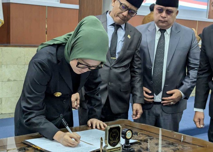 Hadapi Efisiensi Anggaran Rp 700M: Ini Strategi Wabup Lahat Optimalkan Potensi Lokal Dongkrak PAD 2027