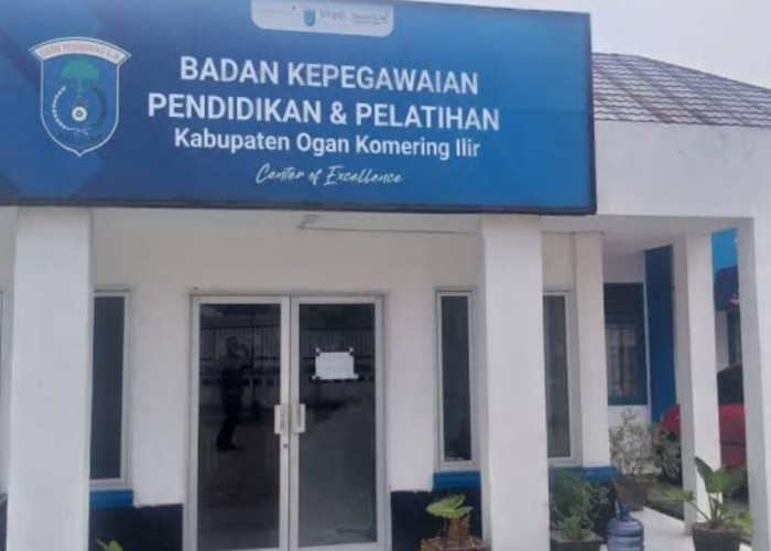 ASN Laporkan Kepala BKPSDM OKI Ke Ombudsman, Ini Masalahnya