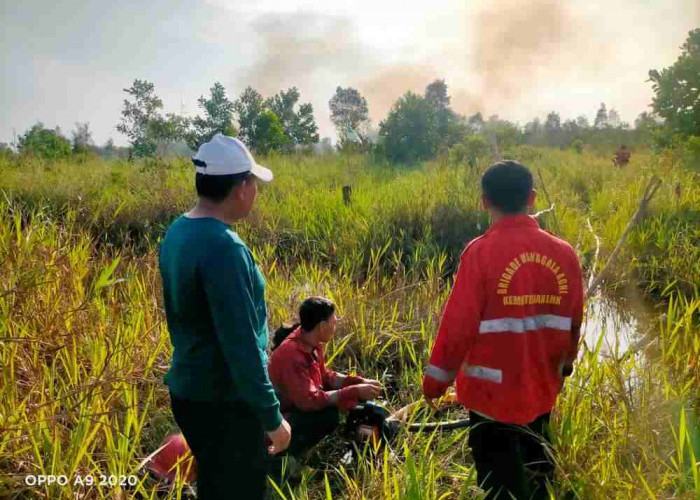 Lahan 4 Hektar Terbakar di Sungai Rambutan, Ini yang Dilakukan Polsek Indralaya