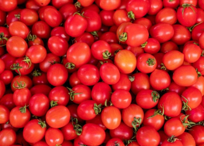 8 Manfaat Buah Tomat Ceri, Salah Satunya Menjaga Kesehatan Jantung