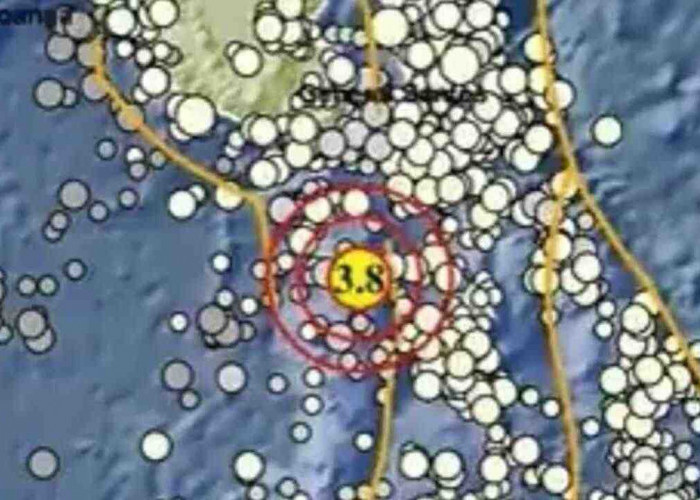 BMKG Catat Gempa Beruntun Pagi Ini, Tahuna Sulut Jadi yang Terbesar