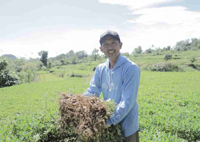Desa BRILiaN Tompobulu Tunjukkan Sinergi Lokal dan Digitalisasi untuk Ekonomi Berkelanjutan