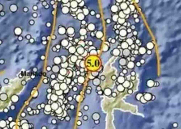 Gempa Magnitudo 5,0 Guncang Pulau Doi pada Kedalaman 103 Km, Tak Berpotensi Tsunami